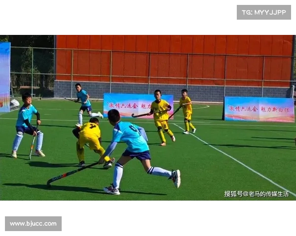 曲靖近期体育赛事大盘点激情赛场运动风采精彩无限魅力十足