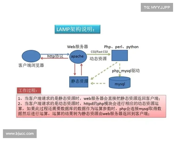 赛事服务组织架构(赛事服务组织架构全面构建策略与优化路径深度研究) 赛事服务组织架构(赛事服务组织架构全面构建策略与优化路径深度研究)